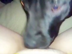 Teen Brazil Blowjob with Horse
