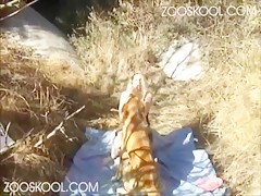 Zoofilia por la Webcam con perro