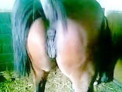 Thumb 18