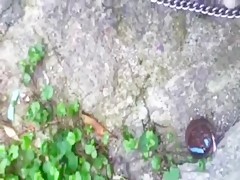 Karla follada por el caballo