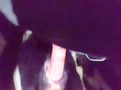 Dos amigas pasando un rato agradable en compañia del perro