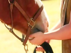 Thumb 11