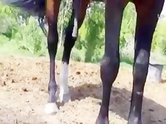 Mamá Perra pone su culito