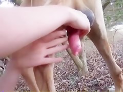 El gordito penetrado