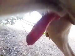 Thumb 18