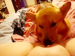 Hot blonde sucking dick for your dog