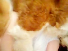 Thumb 12