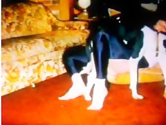 El perrito incansable