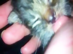 Thumb 12