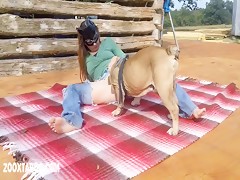 galgo veloz