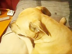 Thumb 11