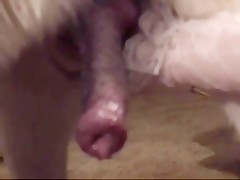 Thumb 12