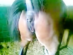Thumb 12