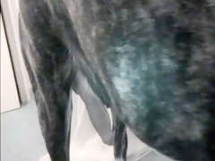 Thumb 16