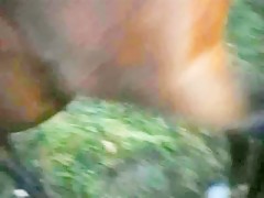 Morena y rubia comparten jamelgo