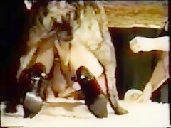 With dog over de bed