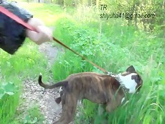Team Russia Nadia is back Video zoofilia - ZootubeX