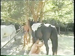 BFI - Horse Teeny Lovers