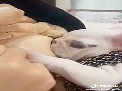 chinese with dog    Not private